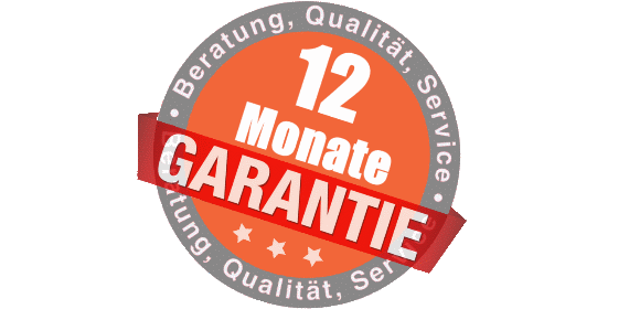 Rußpartikelfilter-Reinigung-12-Monate-Garantie